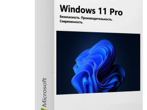 Microsoft Windows 11 Pro